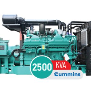1784389497 77379806
