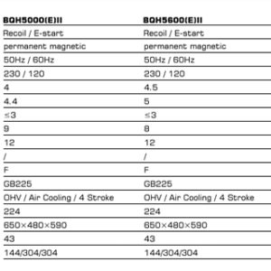 موتور برق زونگشن 5.5 کیلووات مدل BQH6200ER اینورتری سایلنت ریموت‌دار به همراه ویدیو معرفی